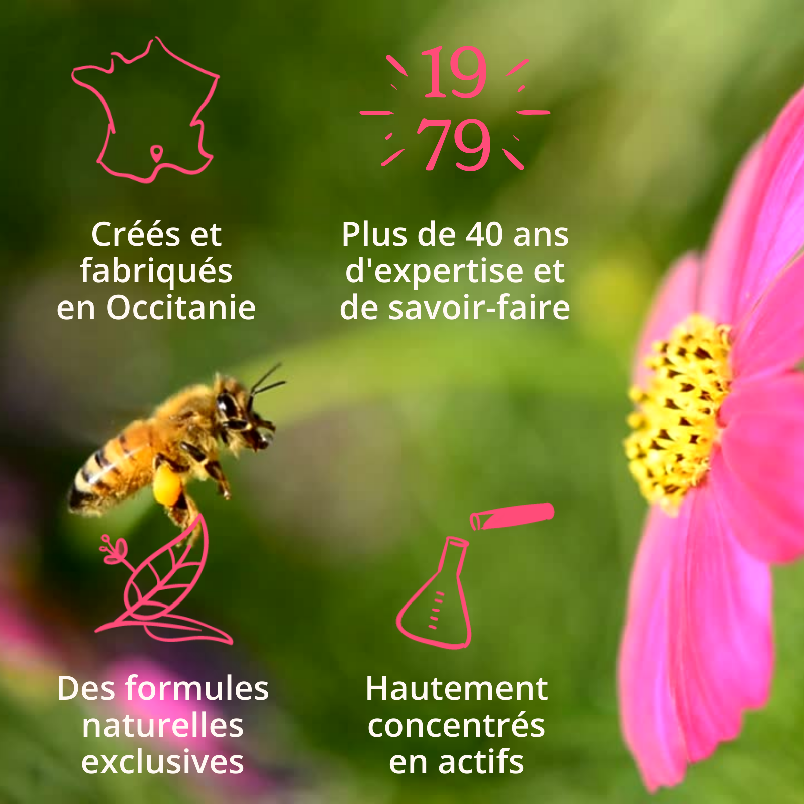 Propolia® - Wholesale Chewing Gum - Pure Chewable Propolis - 10 g tablet6