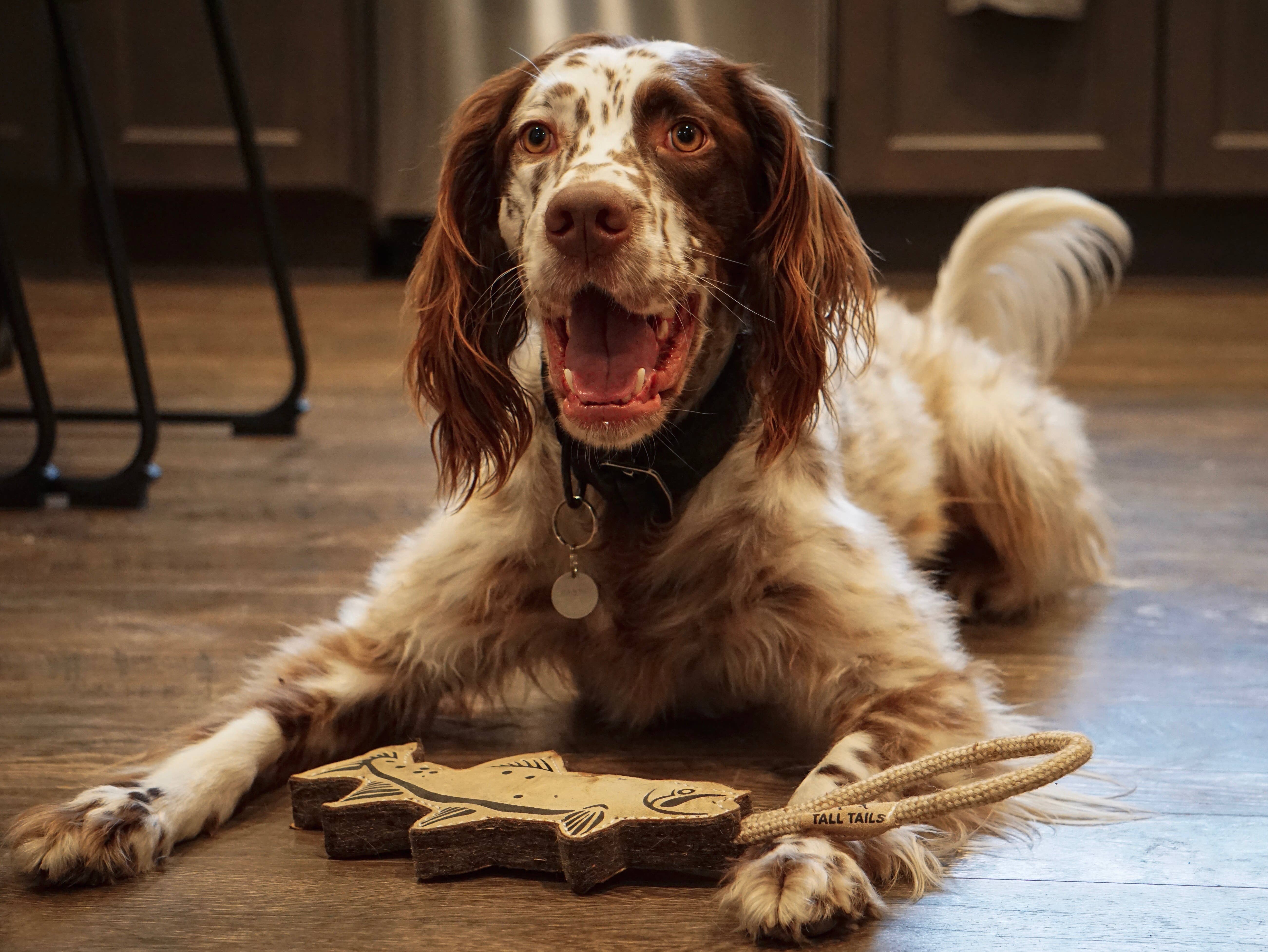 Tall Tails - Wholesale Pet Rope Toy - Dog - Tall Tails Natural Leather Trout Tug Dog Toy - 16"4