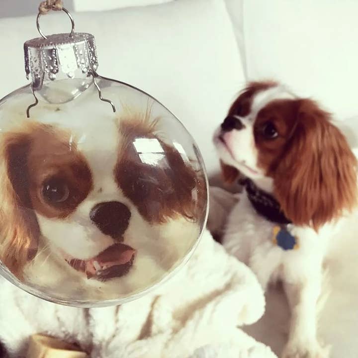 Skel & Co - Wholesale Ornament - CUSTOM! See-Through Glass Holiday Ornament with Your Design3