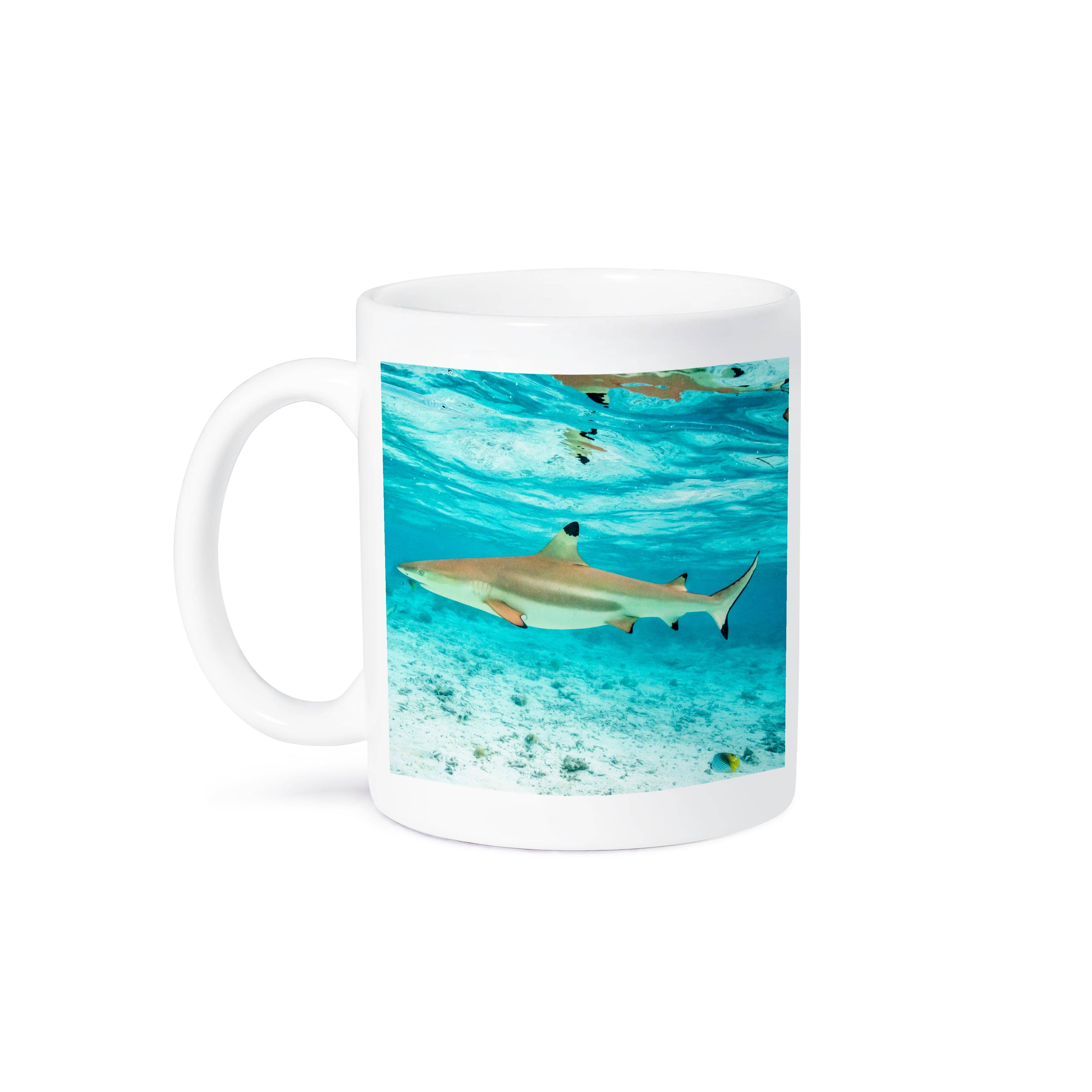 3dRose - Wholesale Coffee Mug - 3dRose, French Polynesia, Bora Bora. Black-tipped reef shark closeup., Mug8