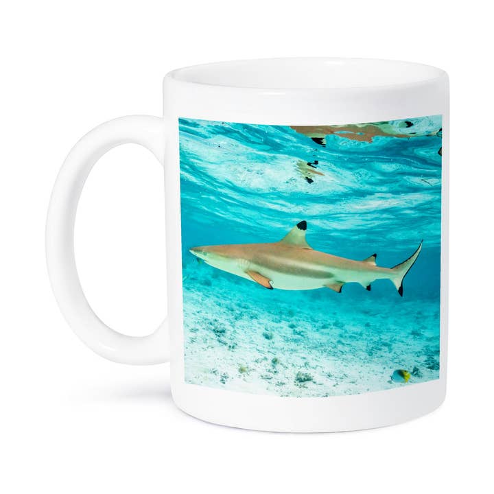 3dRose - Wholesale Coffee Mug - 3dRose, French Polynesia, Bora Bora. Black-tipped reef shark closeup., Mug8