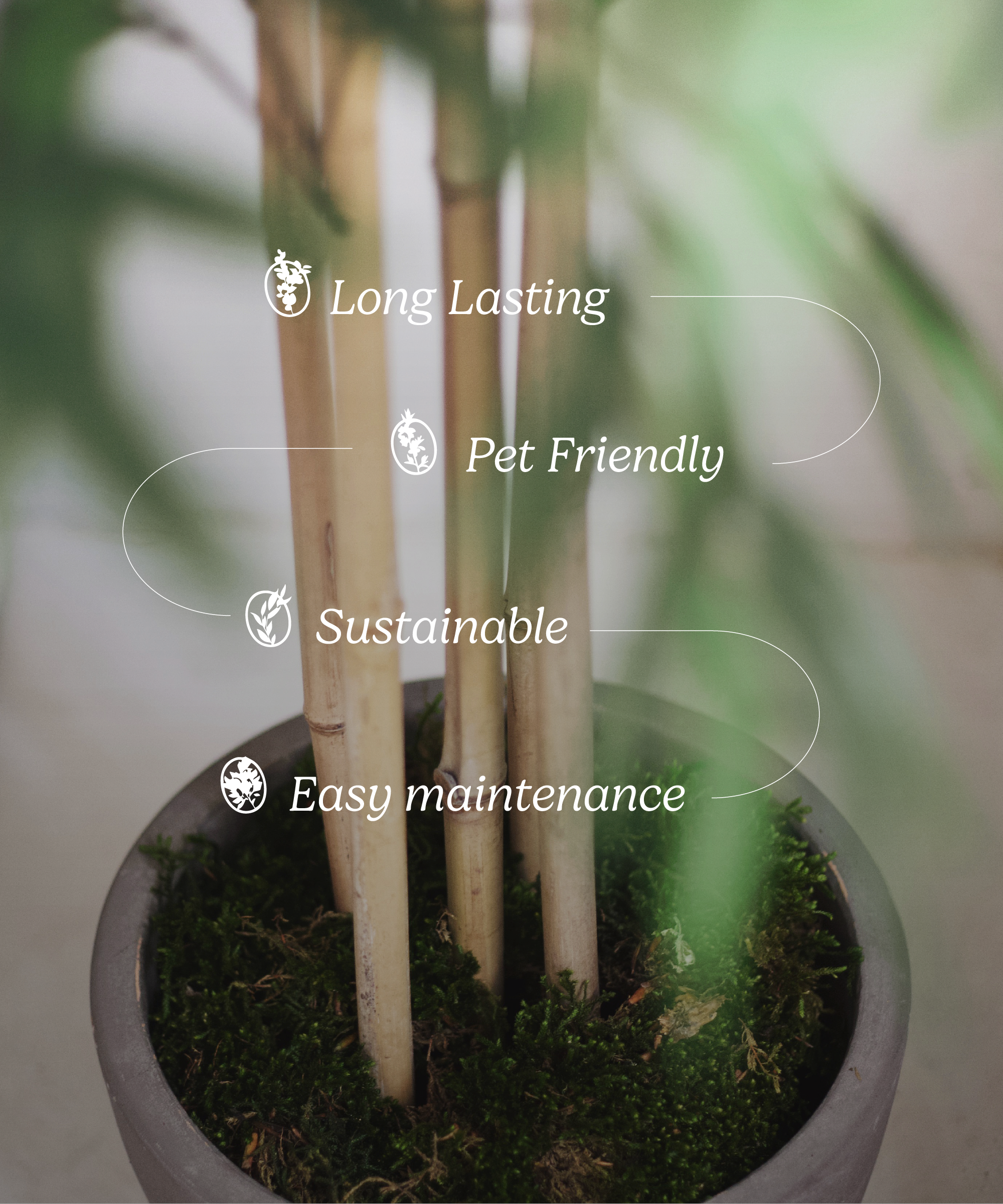 Maia Shop - Wholesale Artificial Plant - Artificial Bamboo 180 cm4
