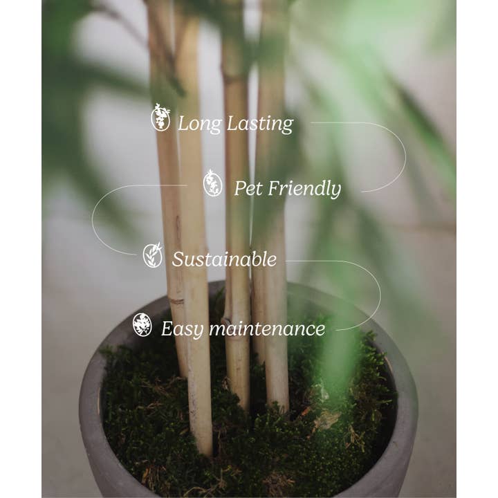 Maia Shop - Wholesale Artificial Plant - Artificial Bamboo 180 cm4