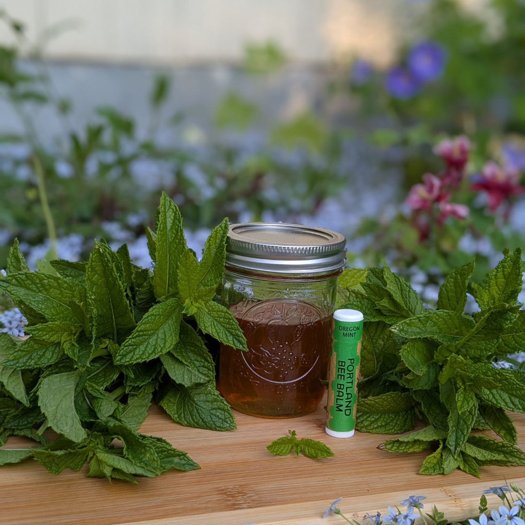 Portland Bee Balm - Wholesale Lip Balm - Oregon Mint Beeswax Lip Balm Display – Refreshing 24-Count7