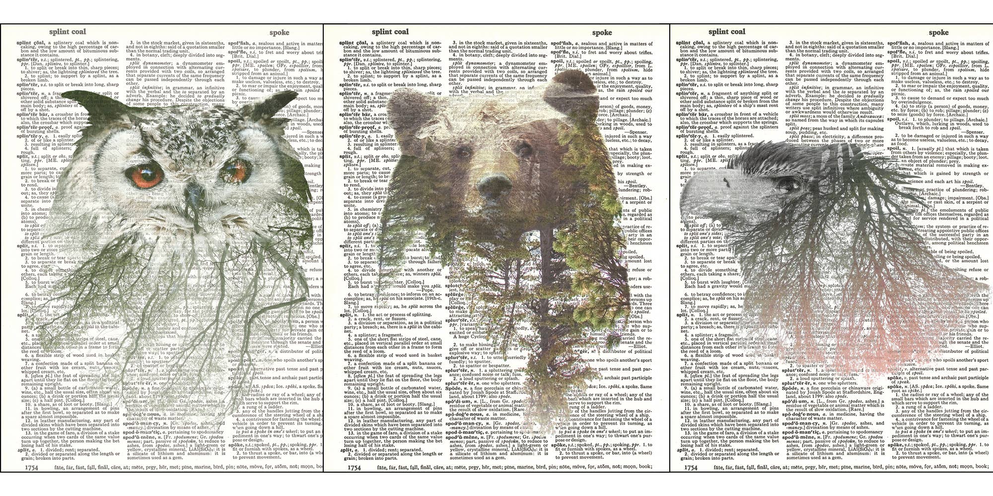 Fresh Prints of CT - Wholesale Art Print - Into the Wild Set0