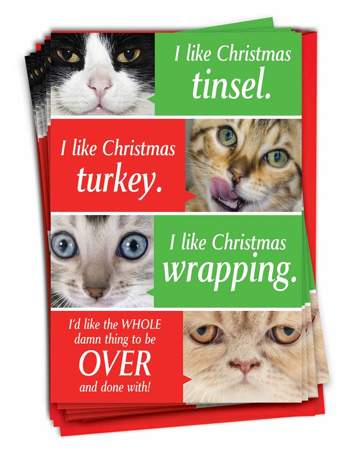Box of 12 Christmas Card - Cats Getting Worried for wholesale by NobleWorks