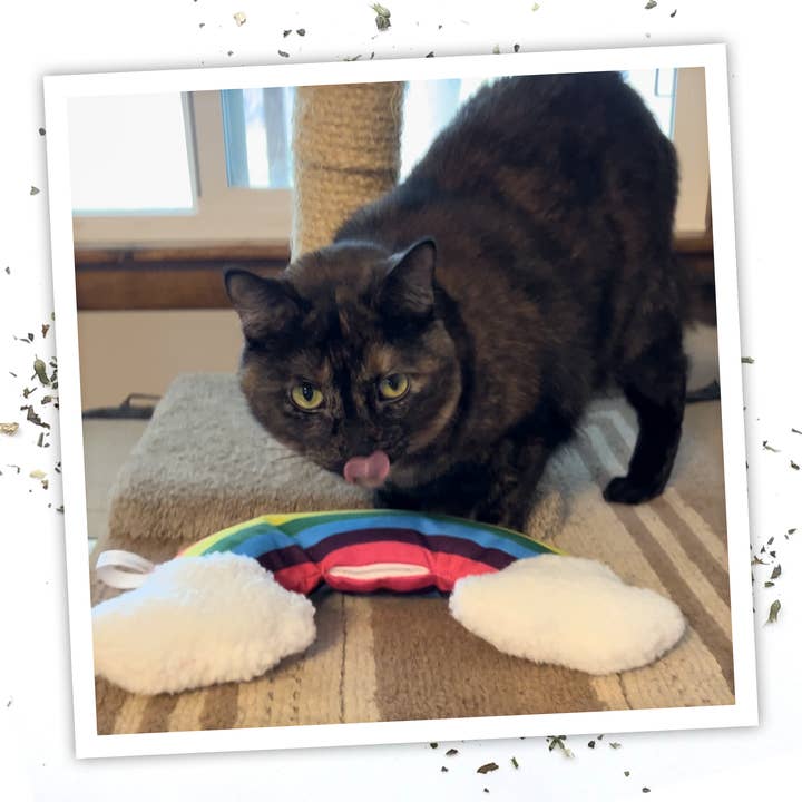 Meowijuana - Wholesale Pet Toy - Cat - Get Kickin' Rainbow Kicker Refillable Cat Toy