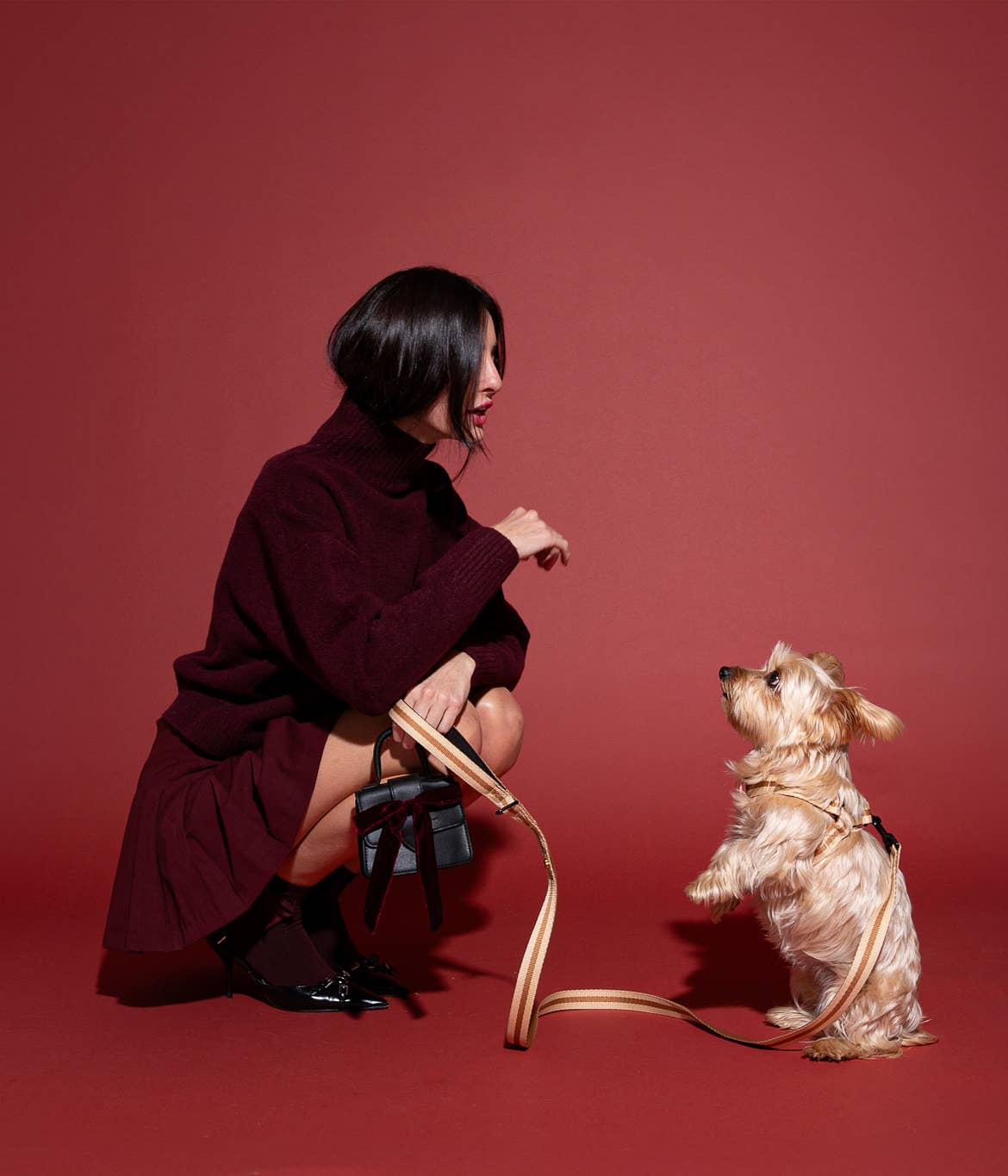 Saint Rue - Wholesale Pet Leash - Dog - Le Classic Dog Leash3