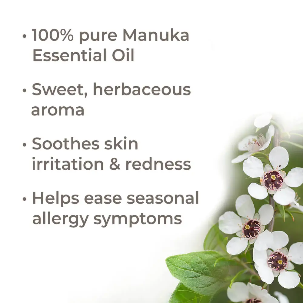 Plant Therapy - Wholesale Essential Oil - Manuka Essential Oil 10 mL7