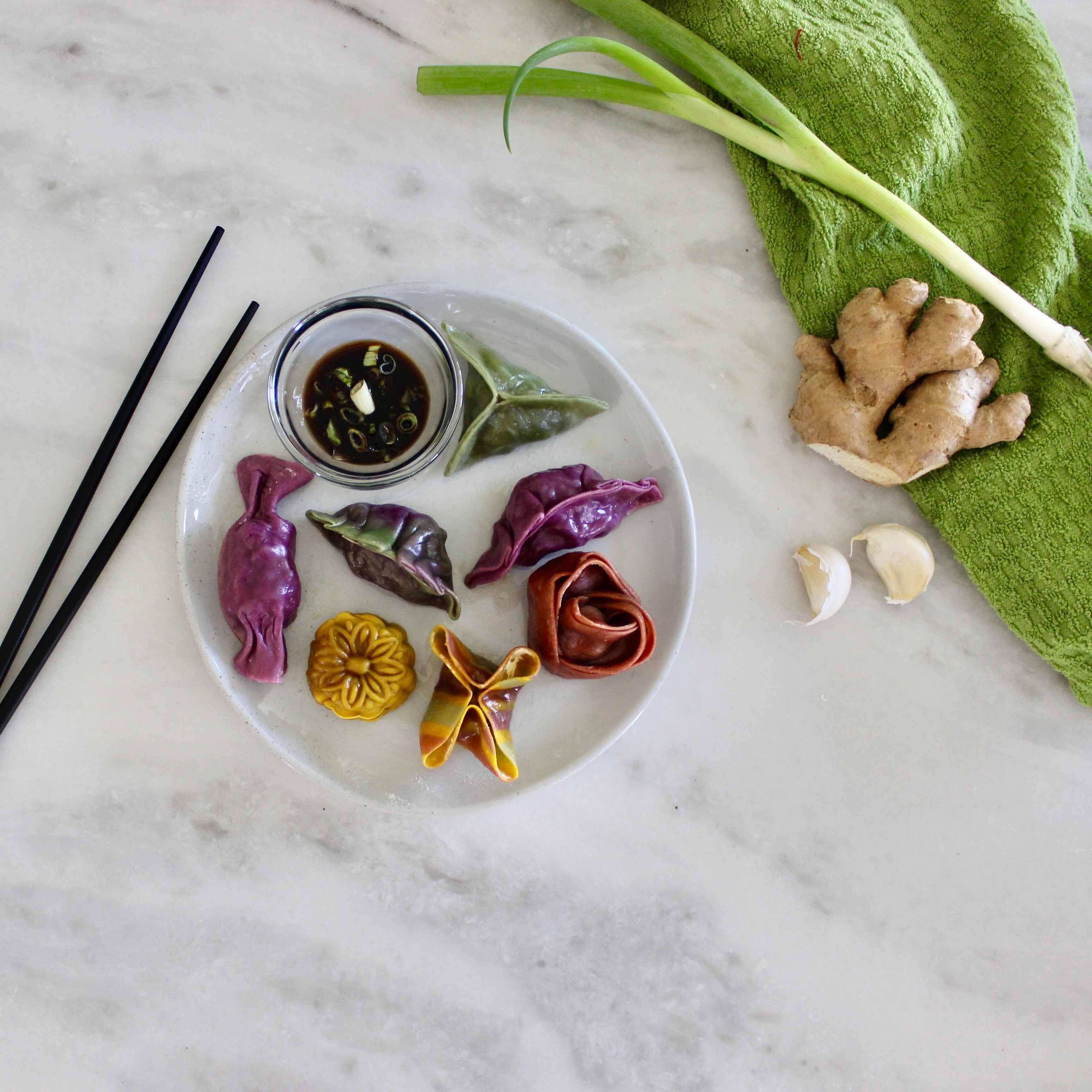 Global Grub - Wholesale DIY Food Kit - ARTisan Dumpling Kit5