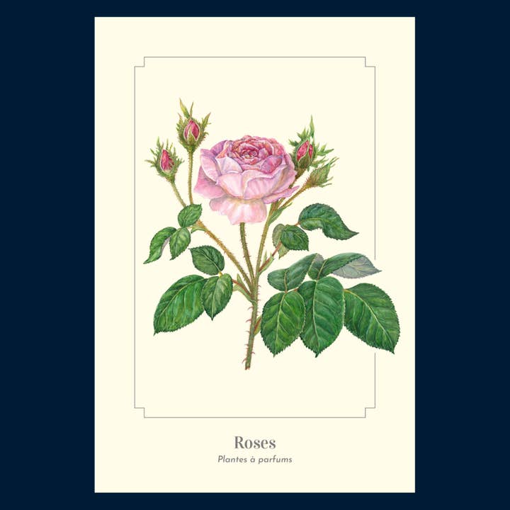 Longue-vue - Wholesale Postcard - Pink - Postcard2