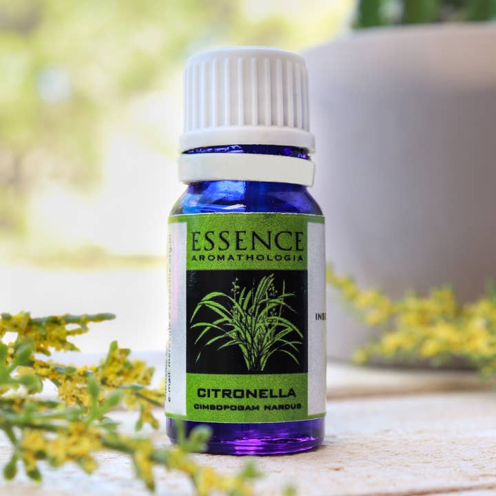 Citronella pure etherische olie (10 ml) voor wholesale door Natures Artifacts Inc