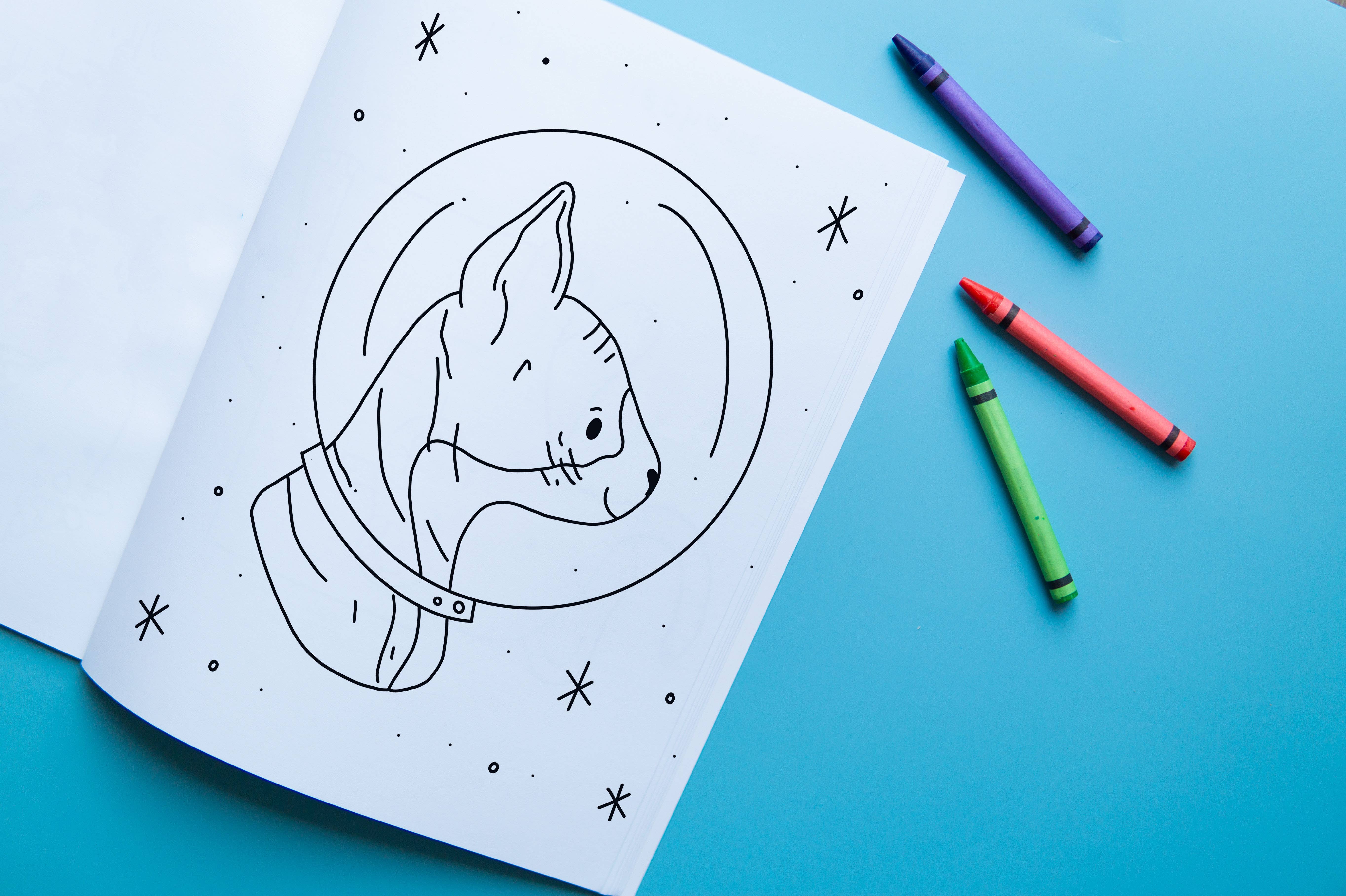 Brown Paper Fox – Livro para colorir - Crianças e bebés por atacado – Gatos no Espaço | Livro de Colorir | Capa Mole | 2ª Edição2