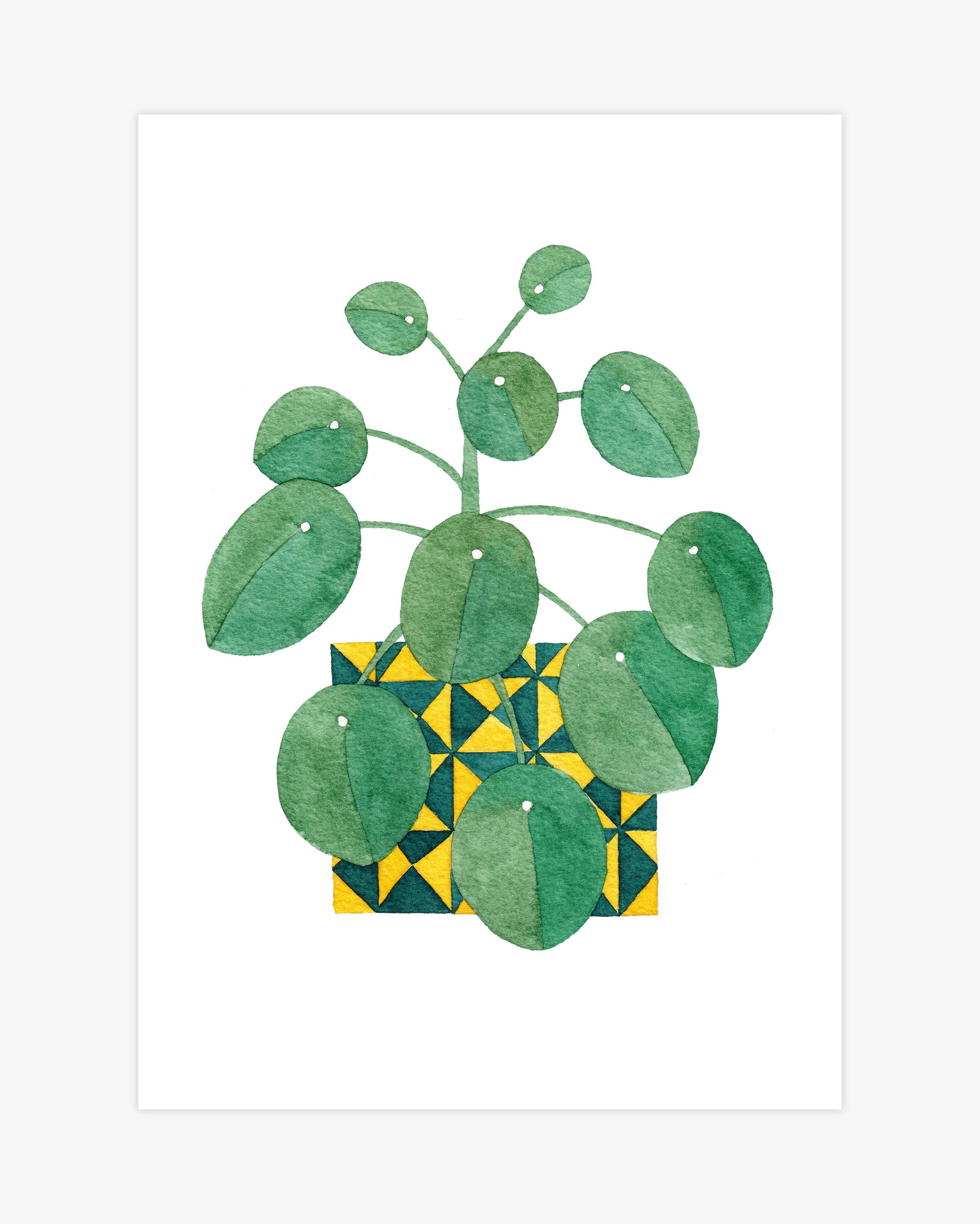 Katrina Sophia - Wholesale Art Print - Chinese Money Plant A5 Print2