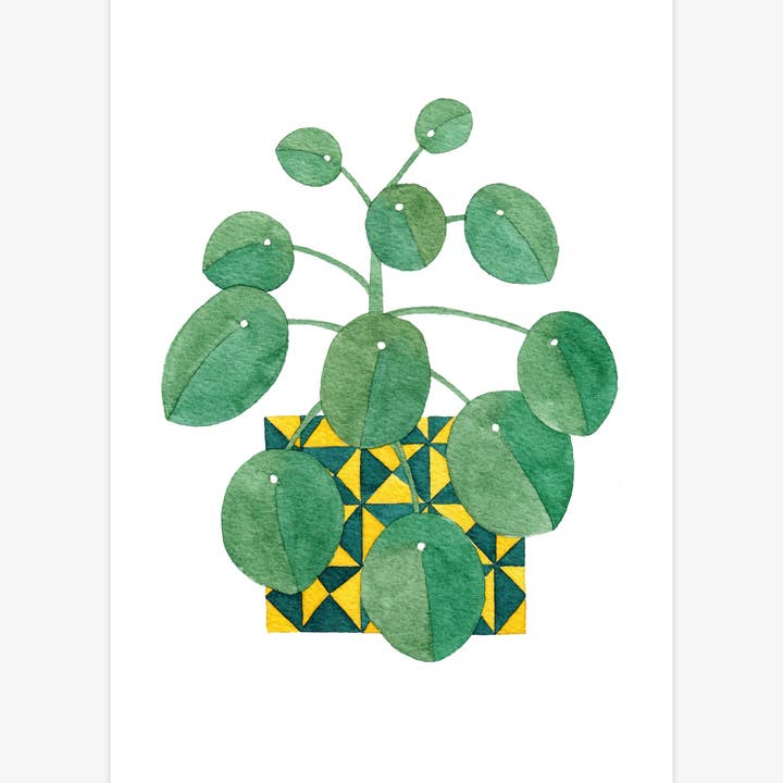 Katrina Sophia - Wholesale Art Print - Chinese Money Plant A5 Print2