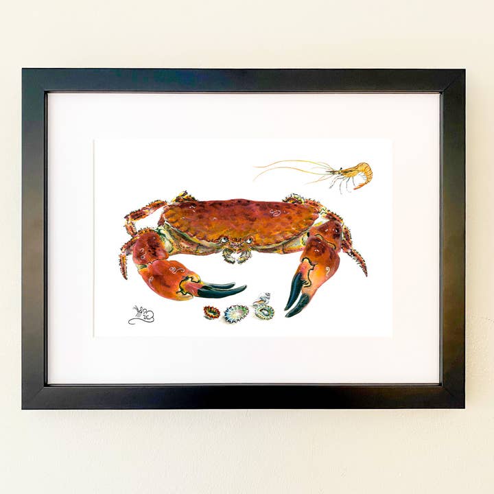 Male Crab Print for wholesale by Wildlife By Mouse