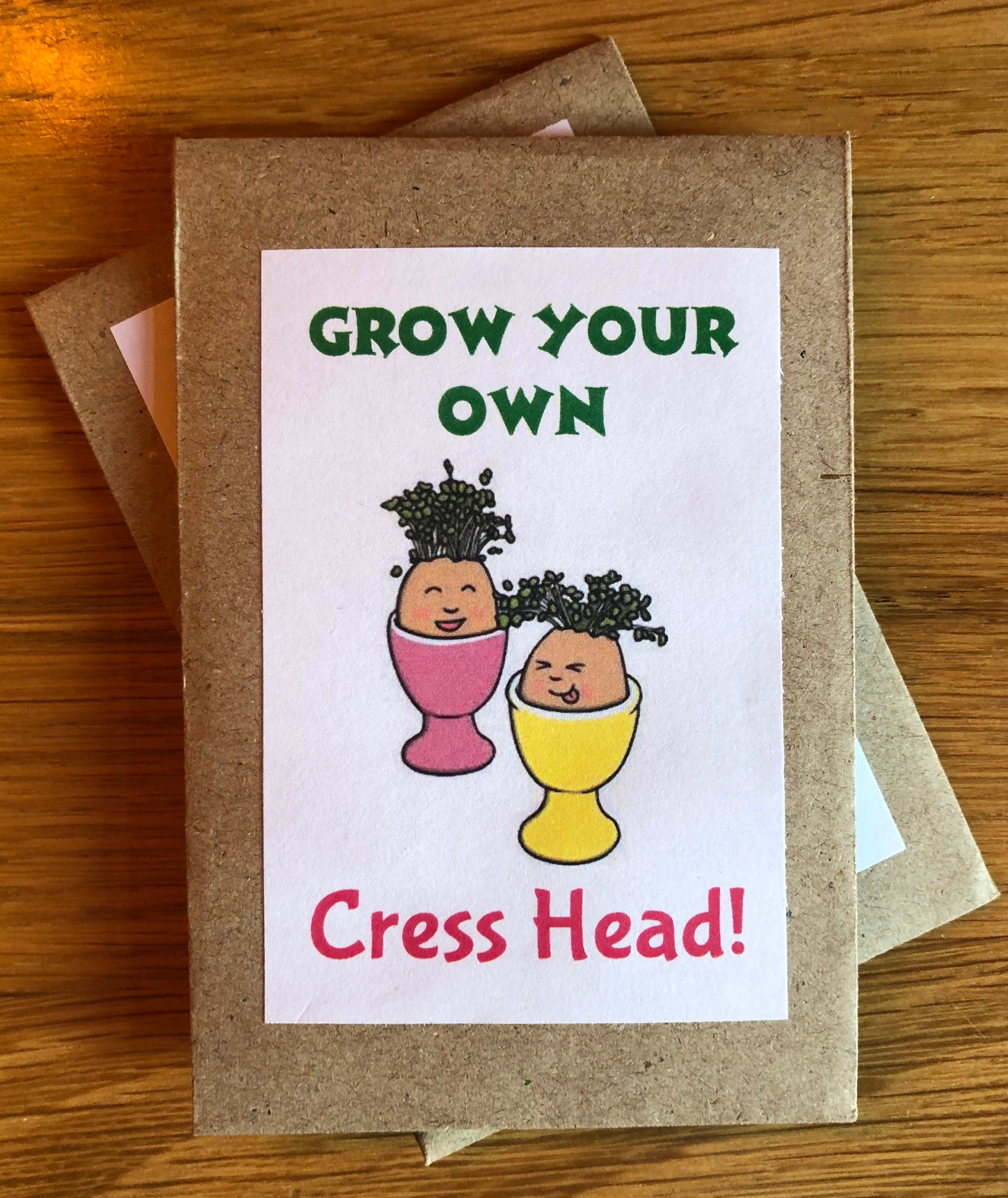 Underglass Terrariums – wholesale Gag gift/novelty gift – Cress Head Kit for Kids - Grow Your Own Cress Head! 1