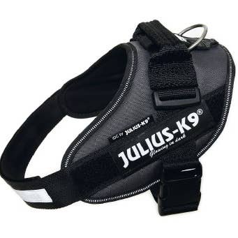 Julius K9 - Harnais pour chien - Anthracite - Taille 0 - 58-76 cm pour la vente par K9 Shop