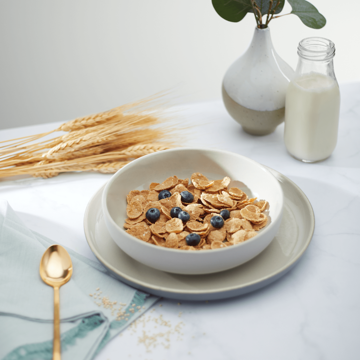 Nature's Path - Wholesale Breakfast Cereal - Heritage Flakes® Cereal, 32 oz Earth Friendly Bag (Case of 64