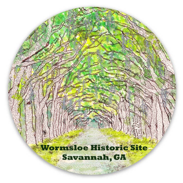 Wormsloe, Live Oaks Avenue (Savannah, GA) - Adesivo per la vendita all'ingrosso da parte di Tamara Garvey Illustration
