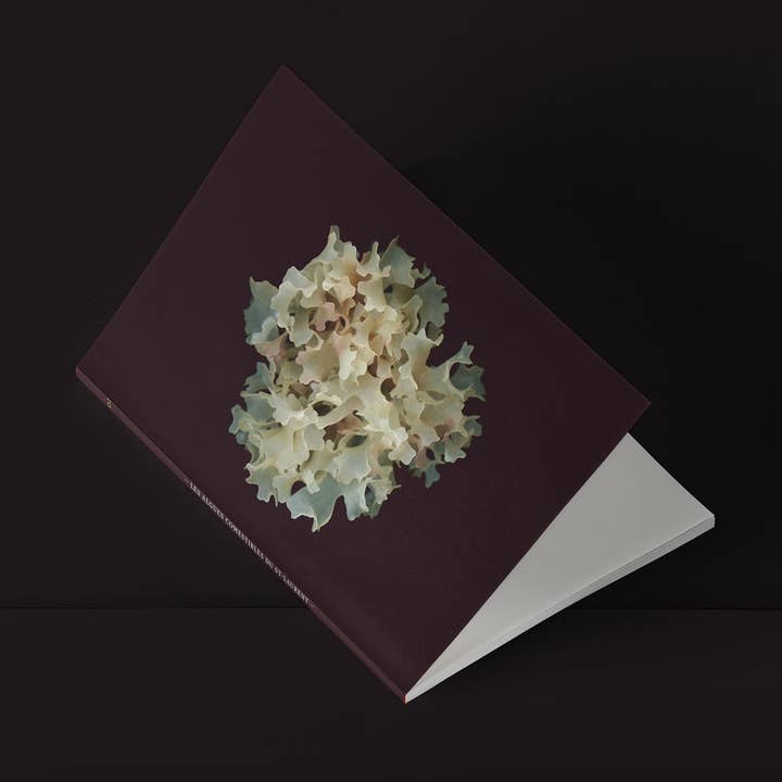 Mini-Notebook / Irish Moss — La Blanche for wholesale by Raoul & Simone