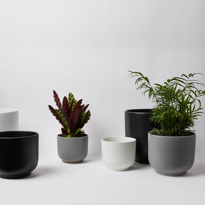 LBE Design - Wholesale Plant Pot Stand - The Bell Planter