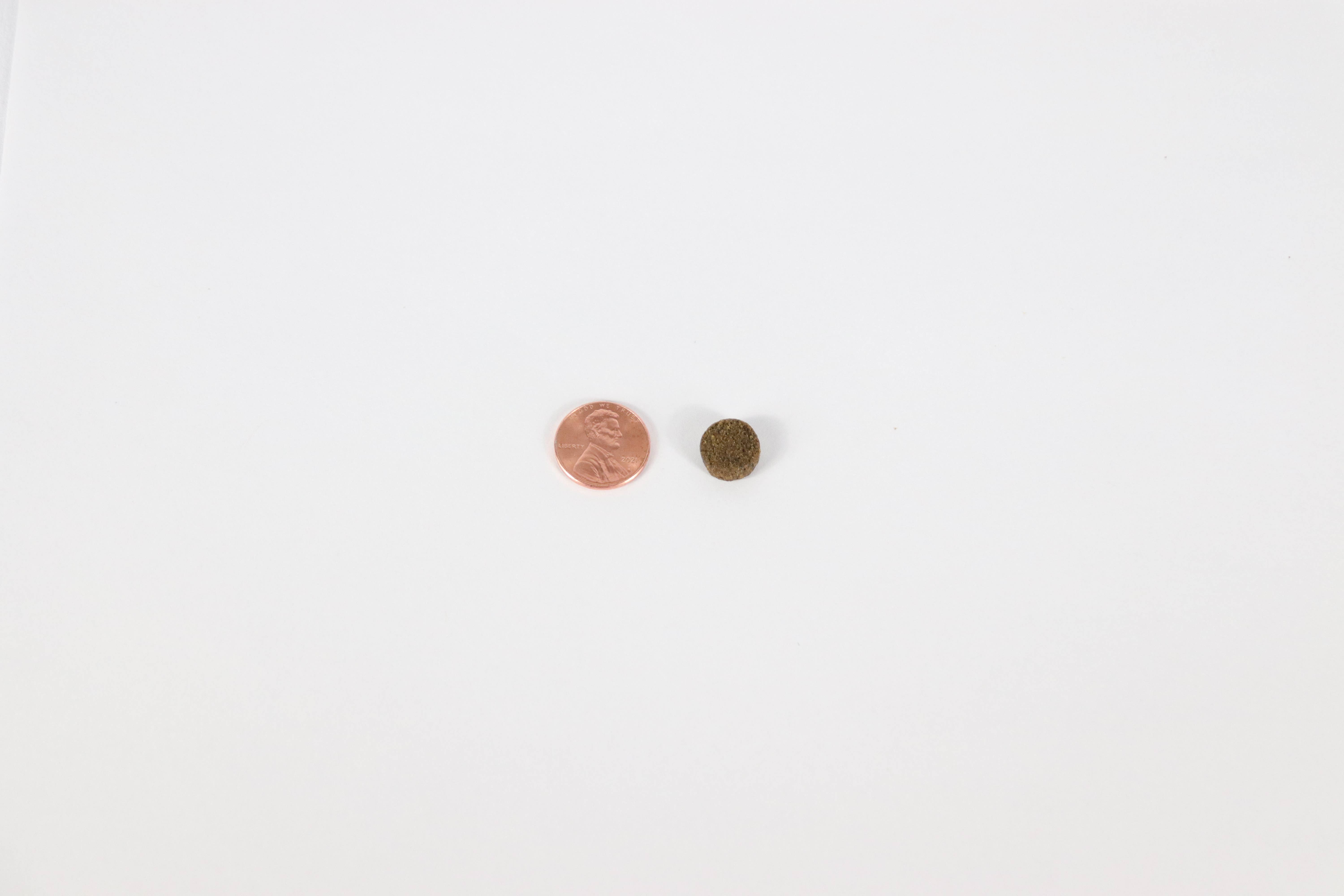 Canine Caviar - Wholesale Pet Food - Dog - Open Range Limited Ingredient Alkaline Entrée All Life 22lb5