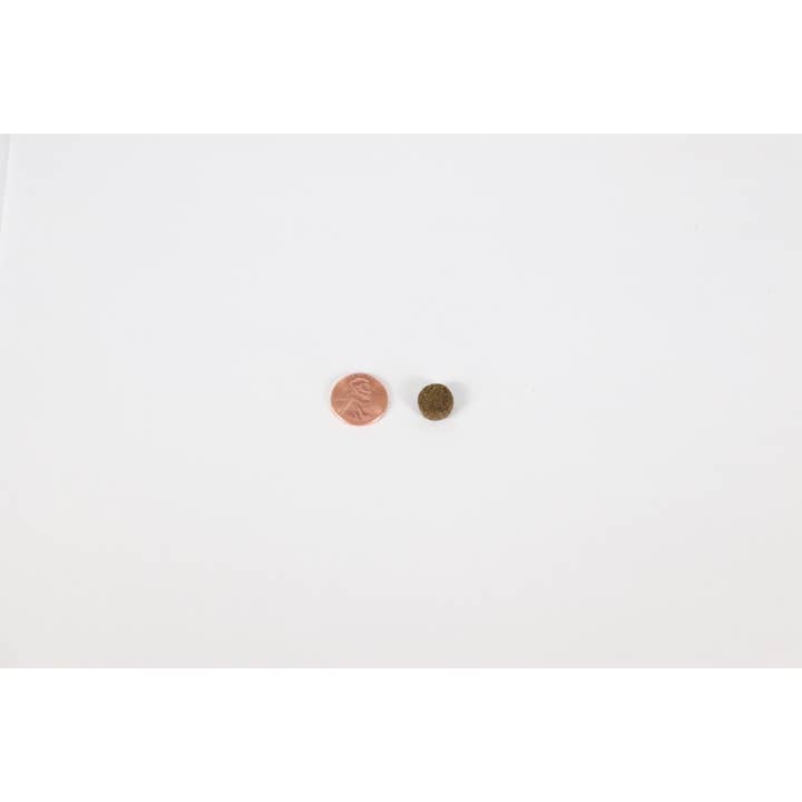 Canine Caviar - Wholesale Pet Food - Dog - Open Range Limited Ingredient Alkaline Entrée All Life 22lb5