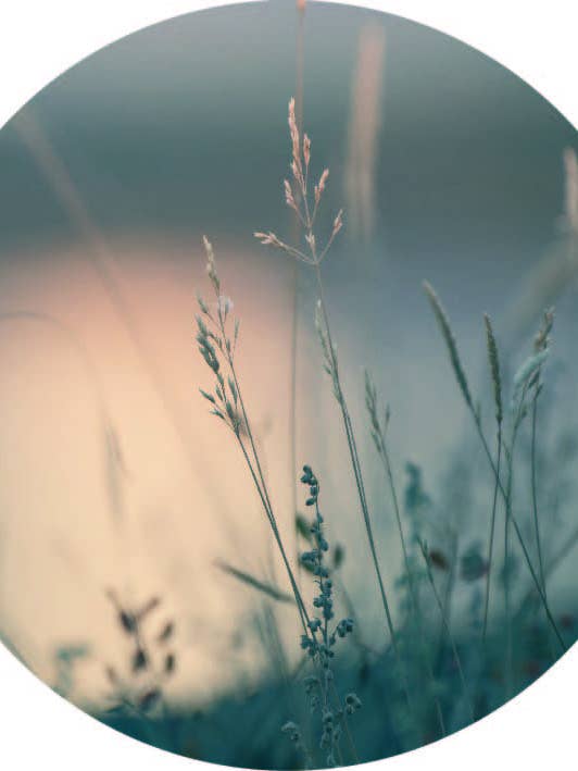 Muurcirkel Sunset voor wholesale door Gewoon ZieZo