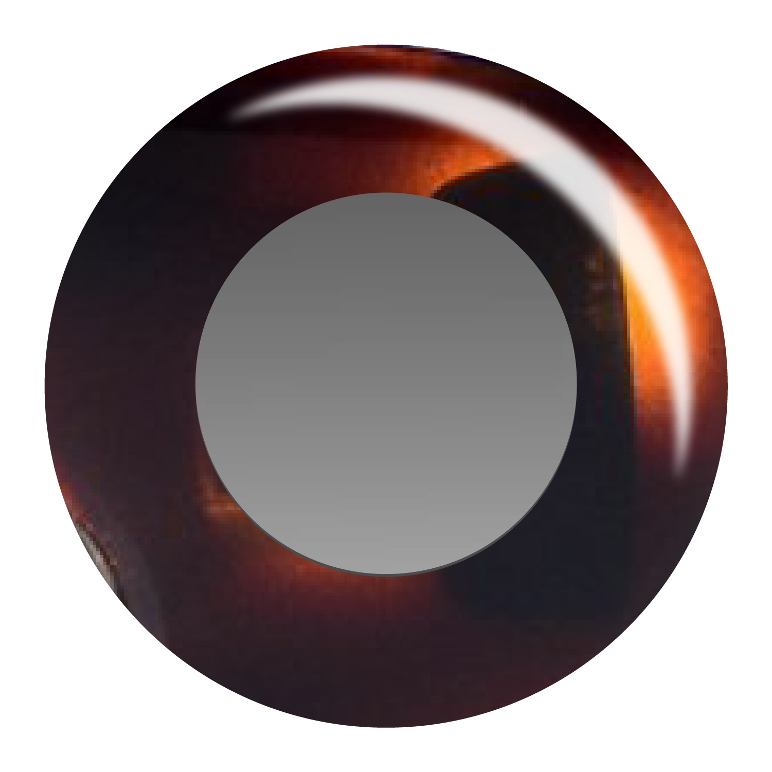 June First - Wholesale Sunglasses - Women's - Felina4