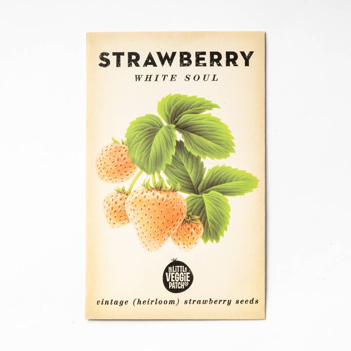 Semi di cimelio di fragole 'White Soul' per la vendita all'ingrosso da parte di Little Veggie Patch Co