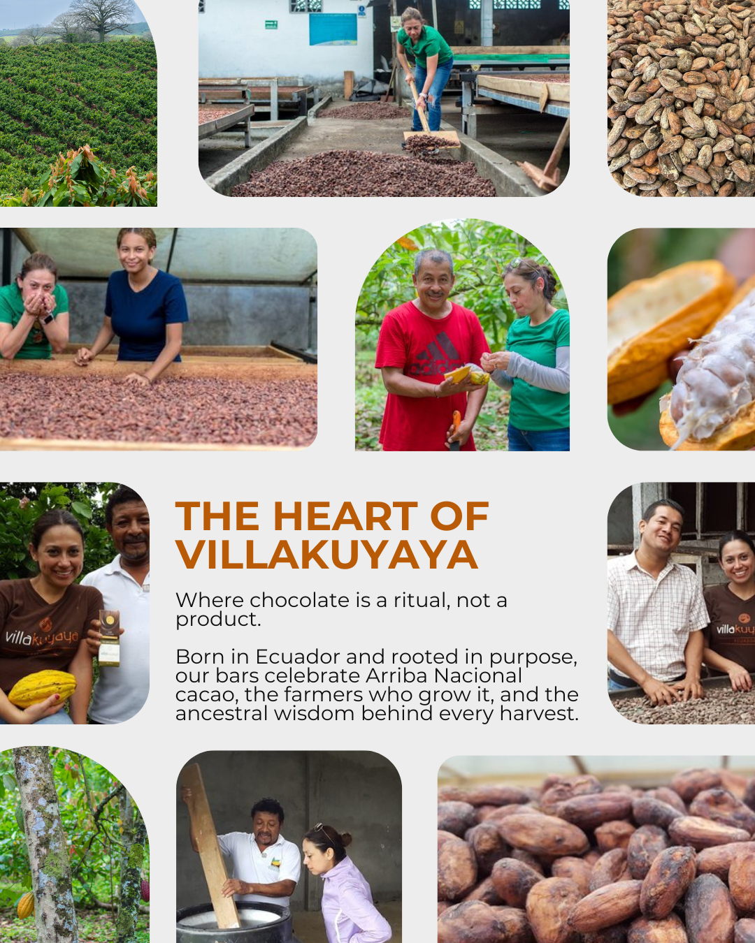 Villakuyaya Premium Dark Chocolate - Wholesale Chocolate Covered Sweets - Villakuyaya 65% Dark Chocolate Pearls CRANBERRY5