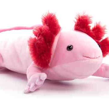 The Petting Zoo - Wholesale Stuffed/Plush Toy - Kids & Baby - 15" (39cm) Wild Onez Small Axolotl