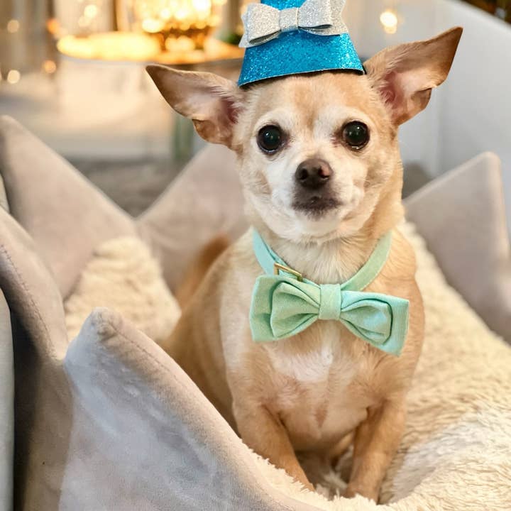 Bark Fifth Avenue - Wholesale Pet Hat - Dog - Pawty Time Dog Party Hats