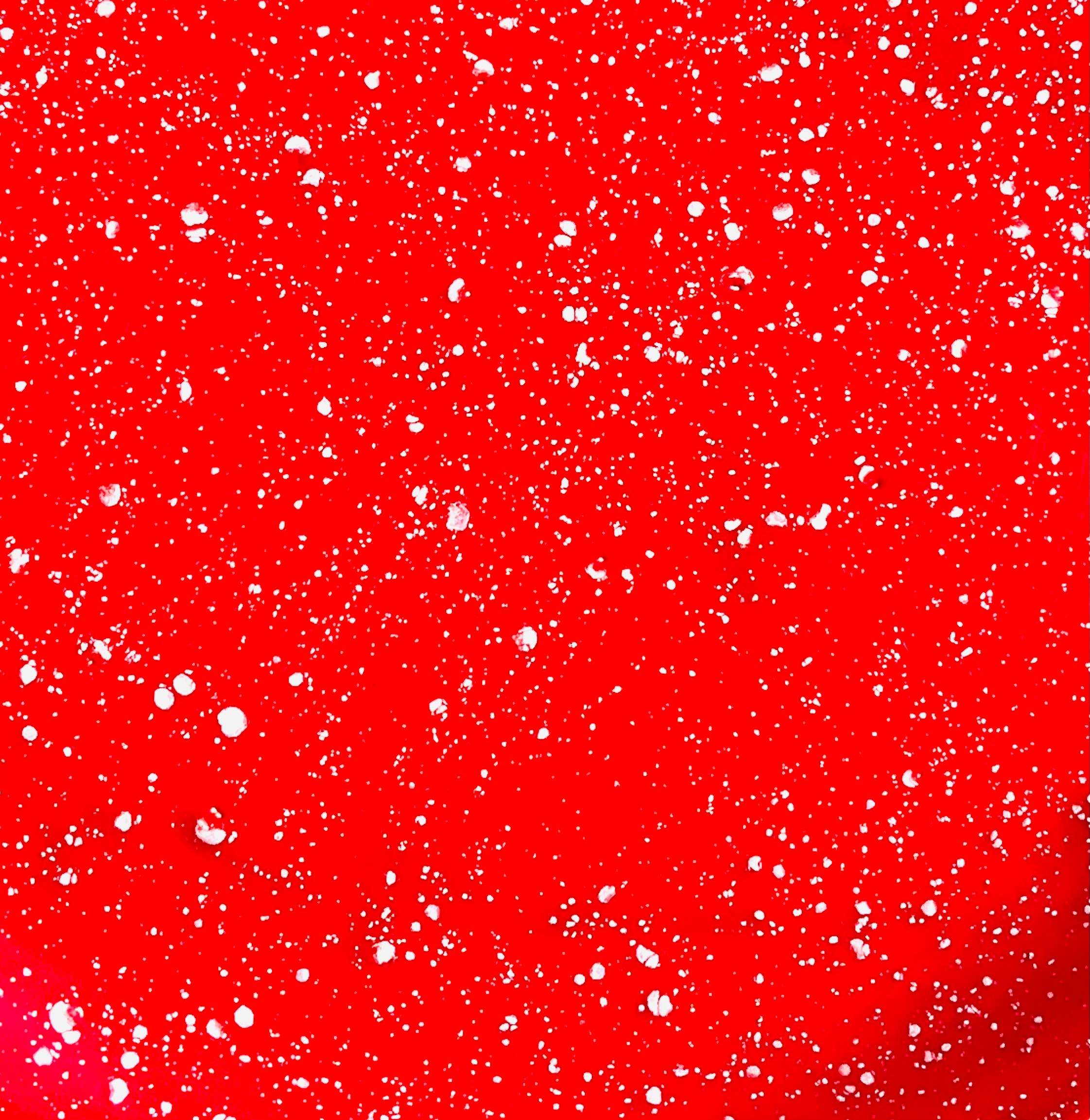 Nori’s Wishes – Großhandel Gewürz-/Dipschale – Salsa-Schüsseln4