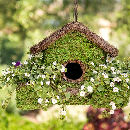SuperMoss - Wholesale Bird House - Plantable Maison Patio Birdhouse
