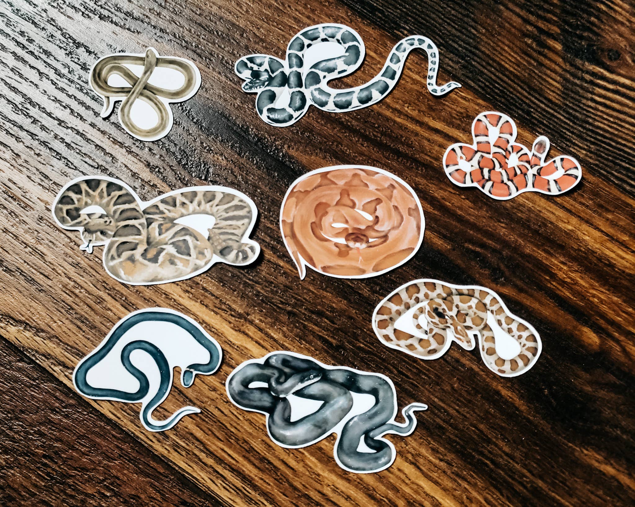 Stephanie Hathaway Designs – wholesale Sticker – Snake Sticker Pack, Set of 8 Matte Vinyl Stickers3
