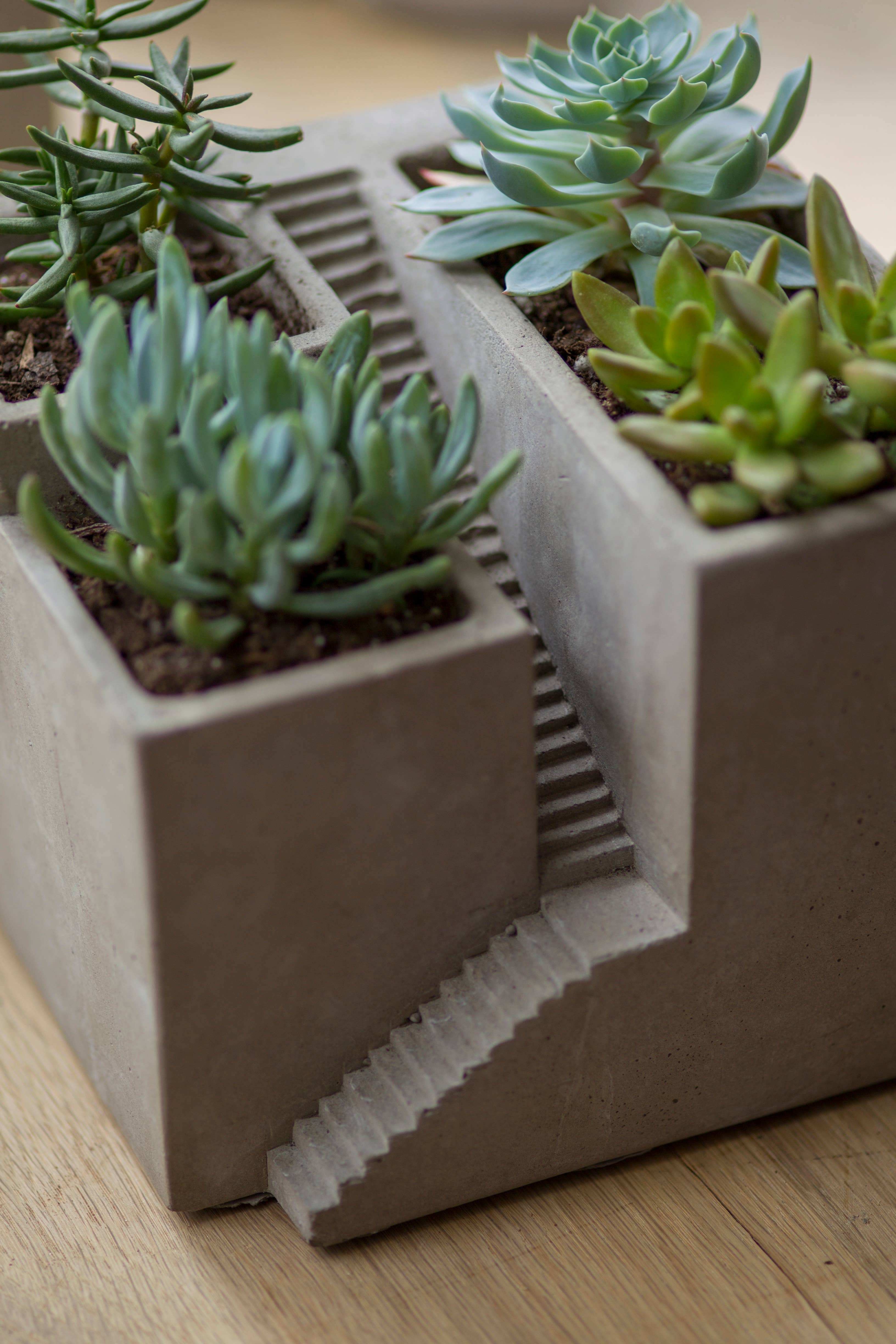 Vagabond Vintage - Wholesale Planter Box - Cement Architectural Cube Planter III3