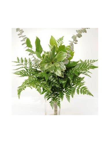 Florasource - Wholesale Fresh Cut Flowers - Greenery "drop in" Bouquets MEDIUM 5 / 10 / 15 / 20 bunches3