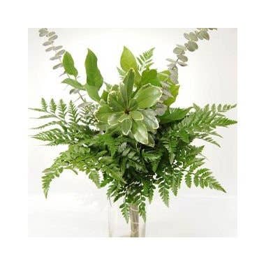 Florasource - Wholesale Fresh Cut Flowers - Greenery "drop in" Bouquets MEDIUM 5 / 10 / 15 / 20 bunches3