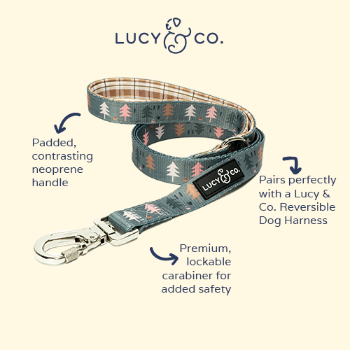 Lucy & Co. - Wholesale Pet Leash - Dog - Take A Hike Leash