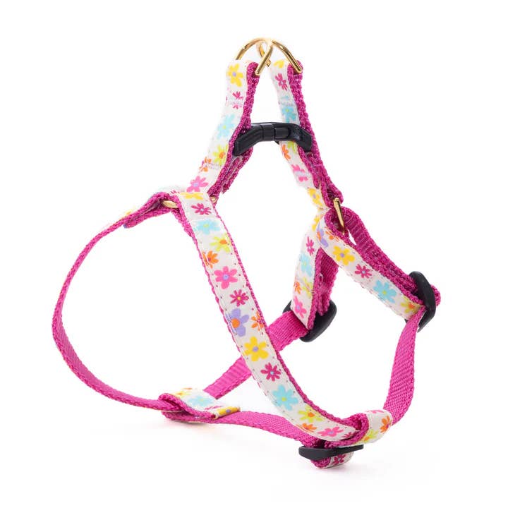 Spring Fever Small Breed Dog Harness for wholesale by Up Country, Inc.