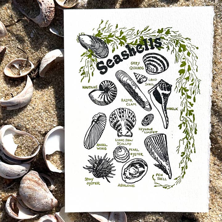 Saturn Press - Wholesale Everyday Greeting Card - Seashells