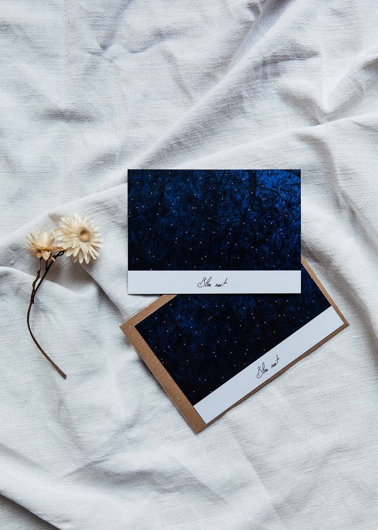 L'OISEAU COMETE - Vente Cartes postales - Midnight Blue Simple Postcard with Envelope #20