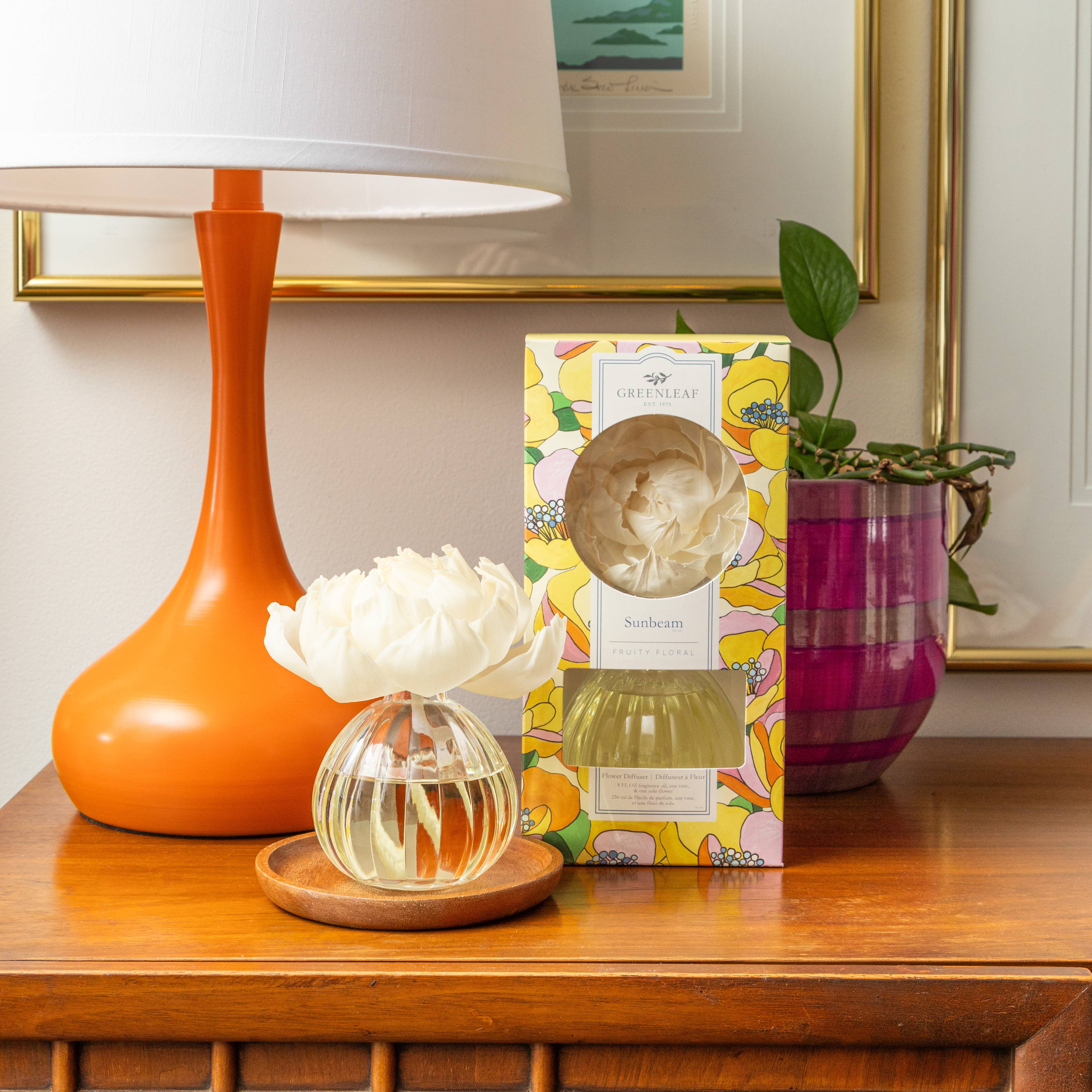 Greenleaf Gifts - Wholesale Reed Diffuser - Sunbeam Flower Diffuser 4 Pack2