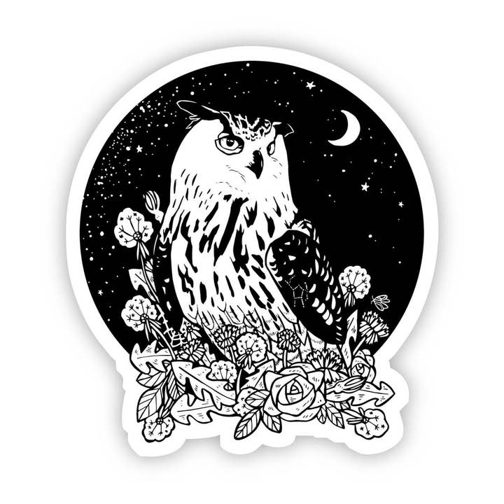 Owl with Night Sky Sticker for wholesale by Big Moods