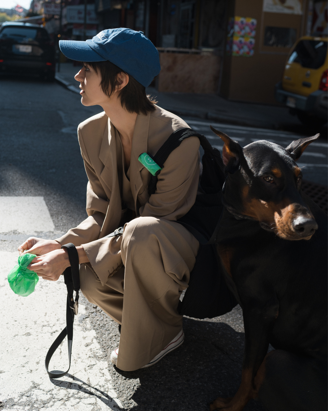 Springland Pets – Großhandel Kotbeutel – Premium Hundekotbeutel - Einzelrollen (50 Stück)4