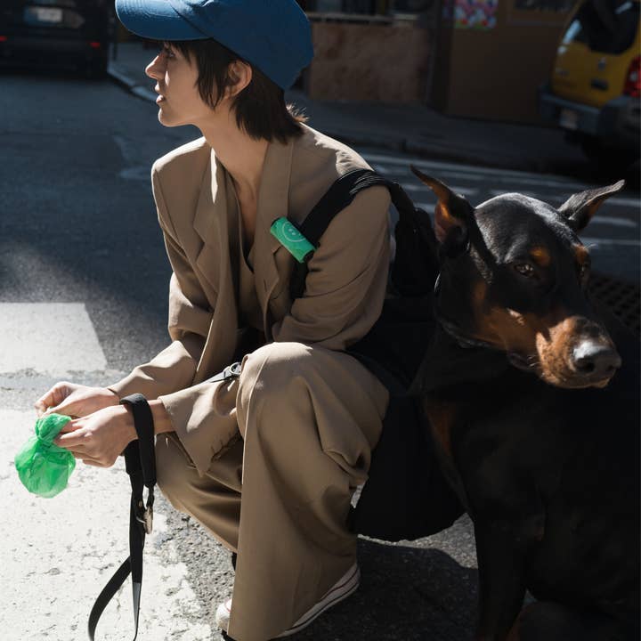 Springland Pets - Wholesale Pet Poop Bag - Premium Dog Poop Waste Bags - Single Rolls (50 Pack)4