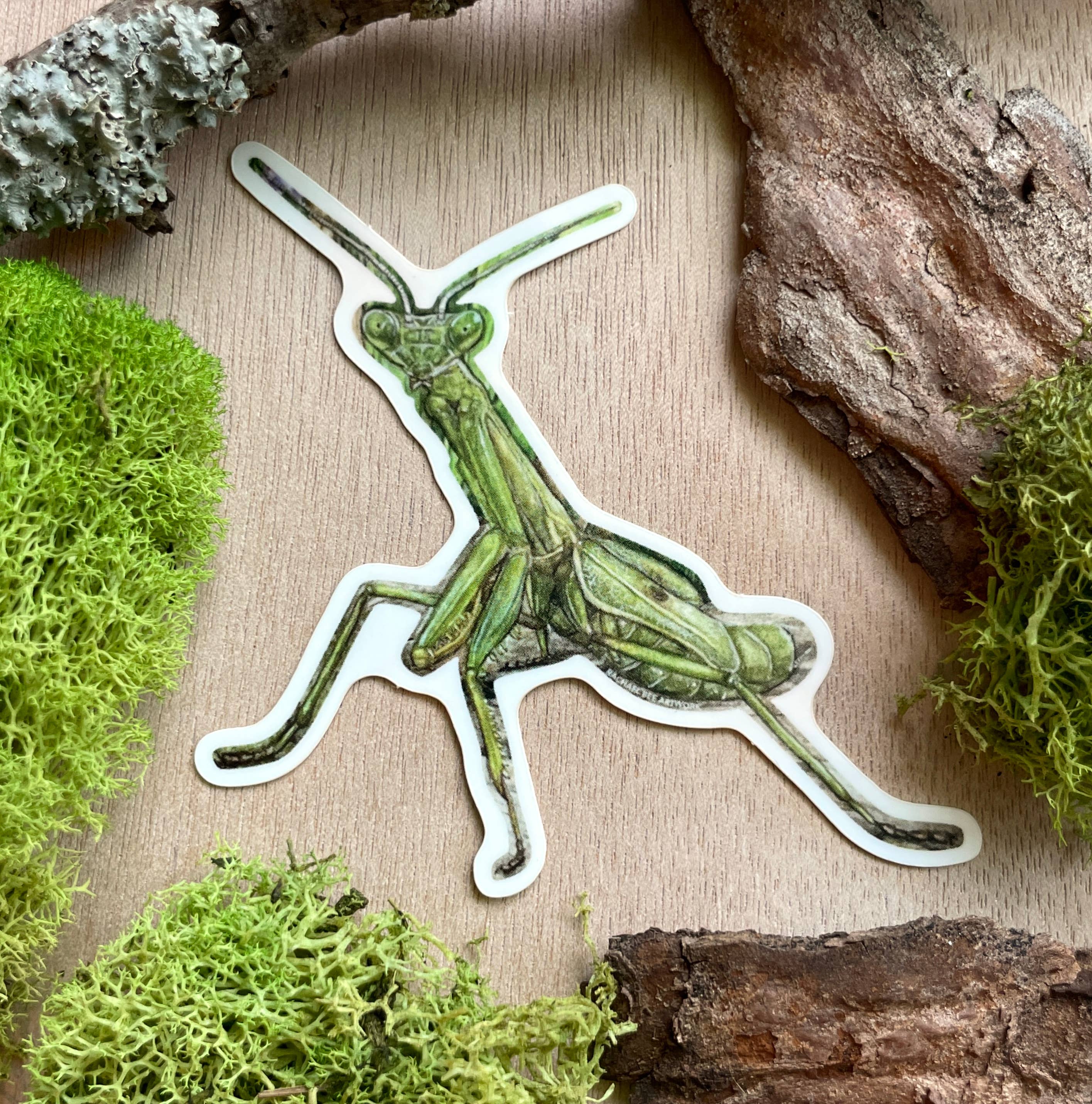 Rachael Bee Artwork - Wholesale Sticker - Praying Mantis Sticker 1