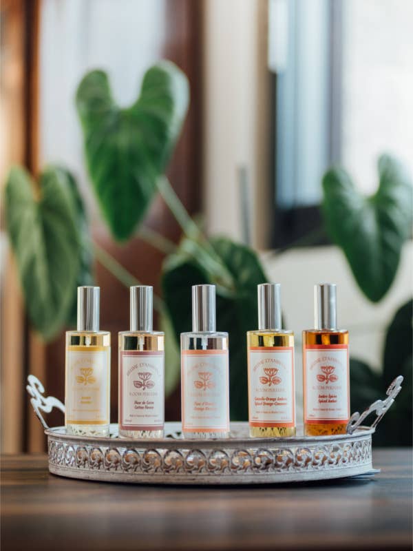 Spray d'ambiance parfumé de luxe 100 ml (3,4 floz) pour la vente par La Belle France